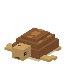 Caretta